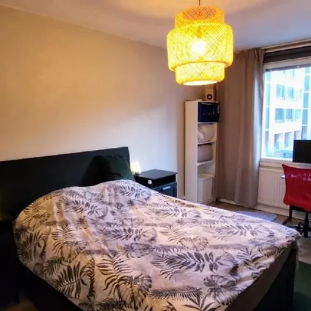 Cosy Big 2 Appartement